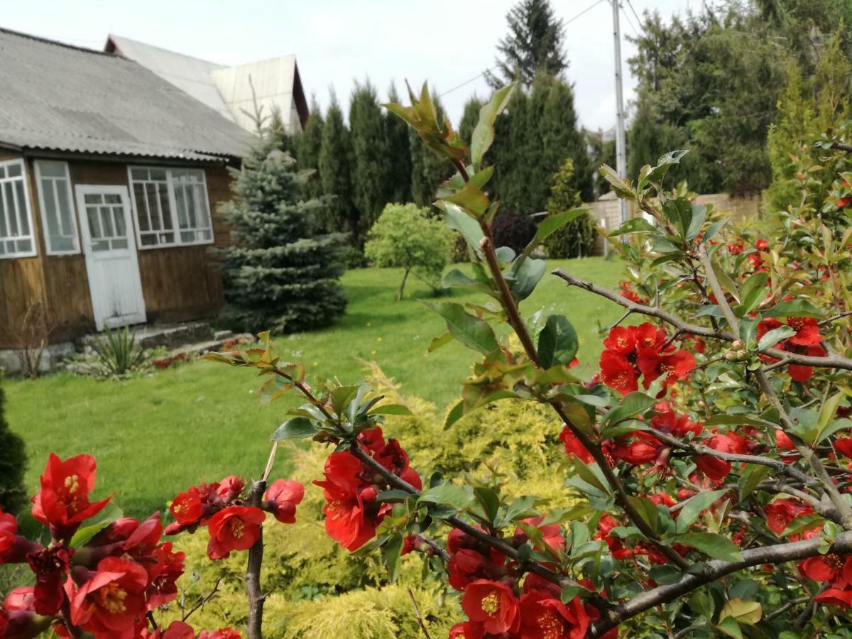 Siedlisko Józefka Zarobka Exterior foto